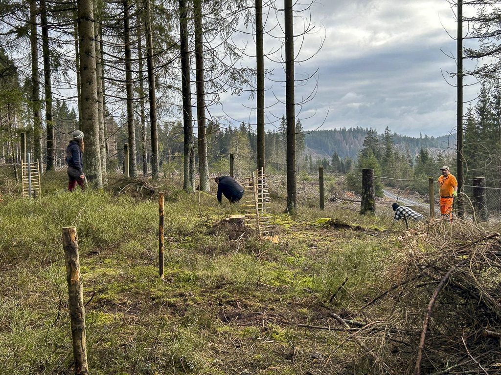 Baumpflanzaktion an der Belegstelle