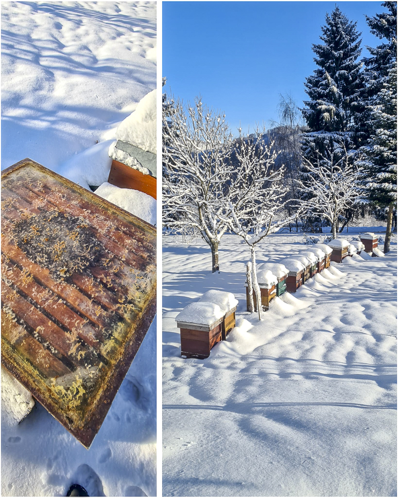 Winterimpressionen Januar 2026