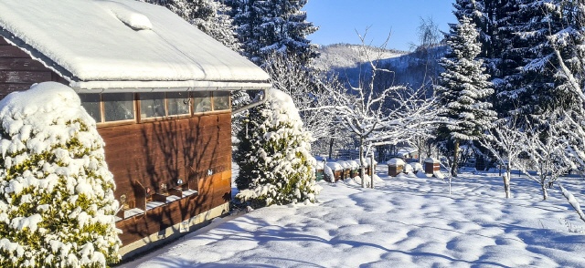 Winterimpressionen Januar 2026