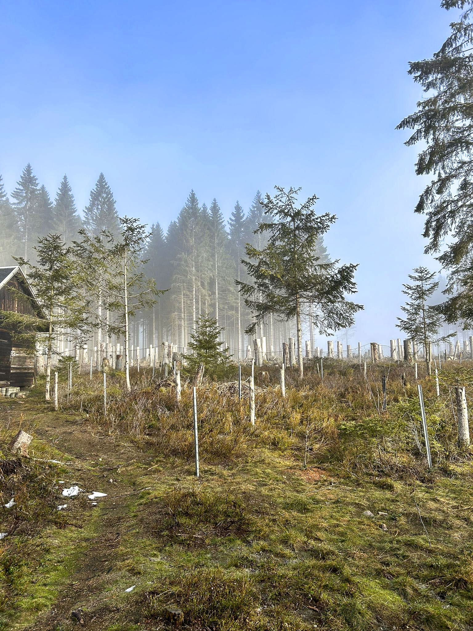 Frühlingserwachen an der Belegstelle