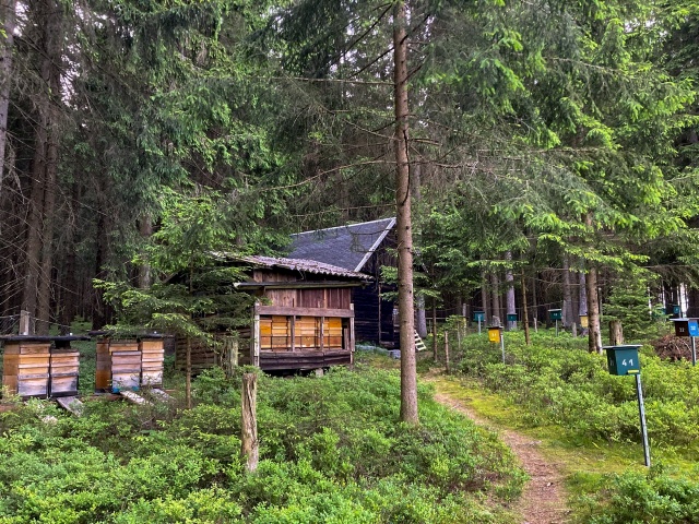 Belegstellenfest am 08.06.2024